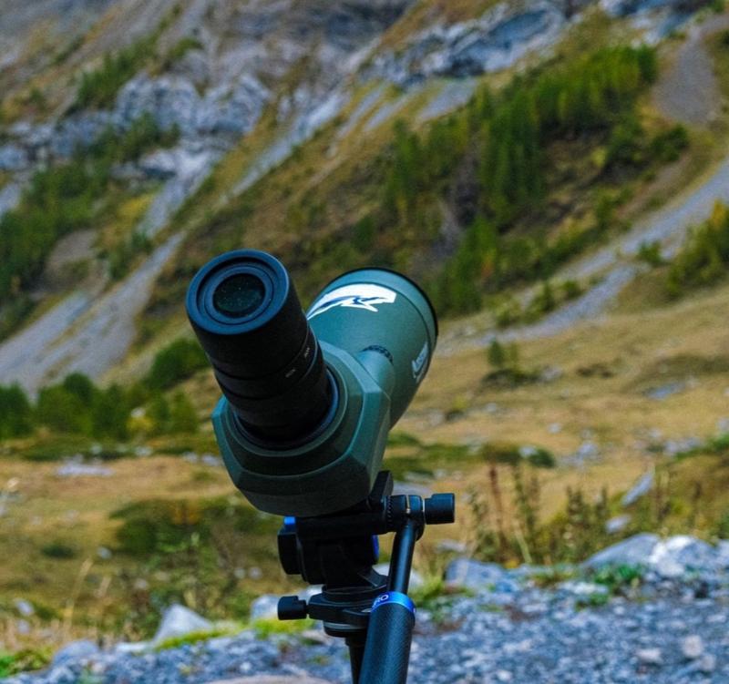 Observation à la longue-vue près de Dorbon